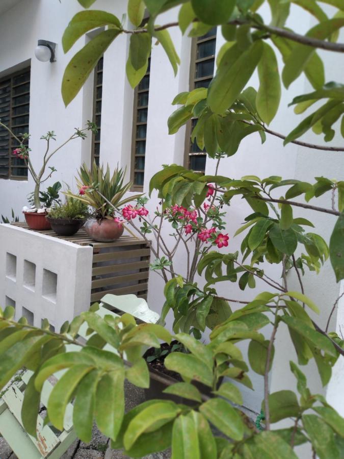 Departamentos De La Reina Roja Apartamento Palenque Exterior foto