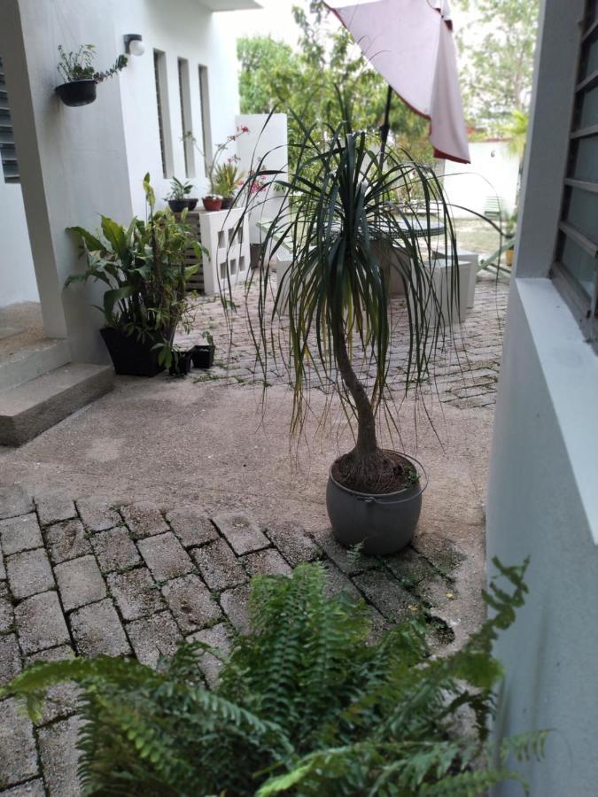 Departamentos De La Reina Roja Apartamento Palenque Exterior foto