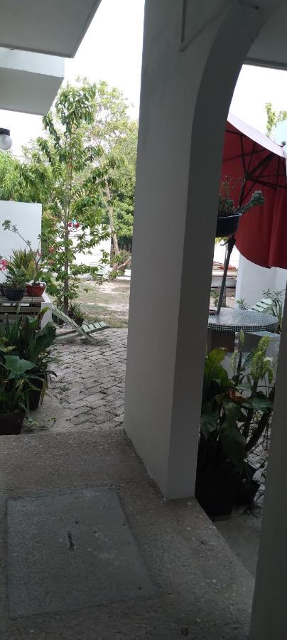Departamentos De La Reina Roja Apartamento Palenque Exterior foto